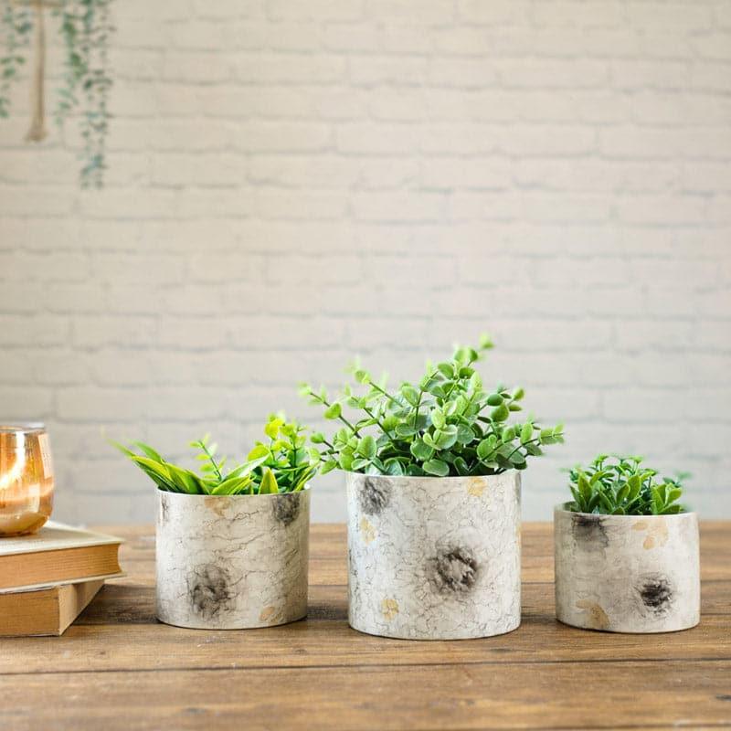 Buy Play Punch Planter - Set Of Three Pots & Planters from Vaaree