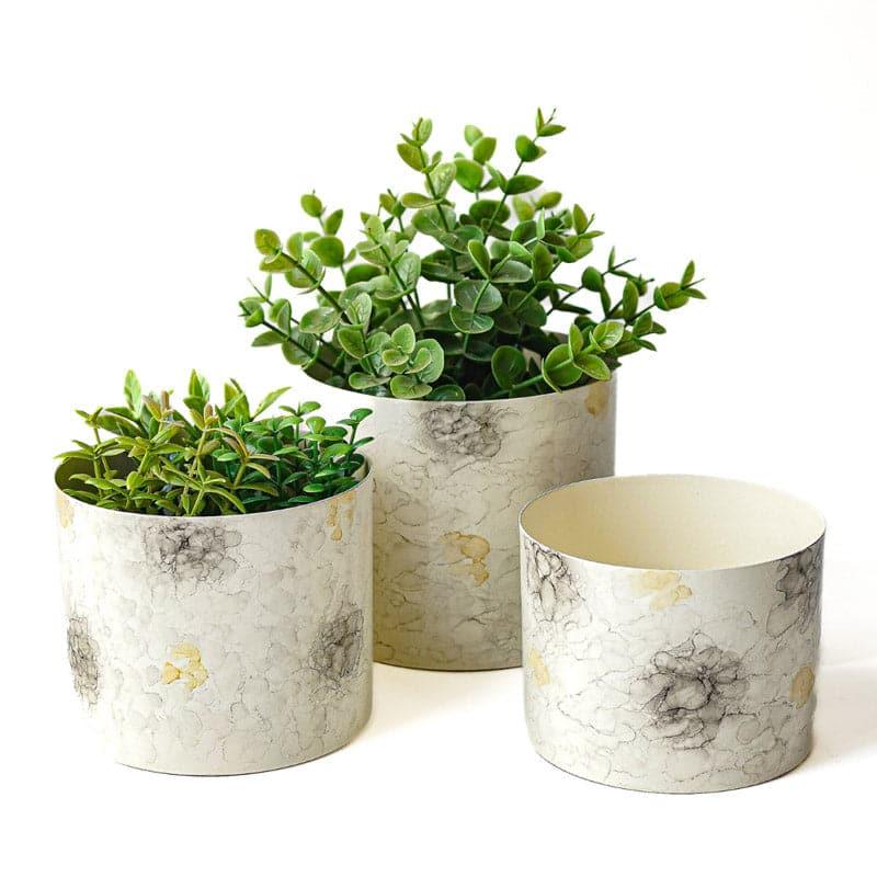 Buy Play Punch Planter - Set Of Three Pots & Planters from Vaaree