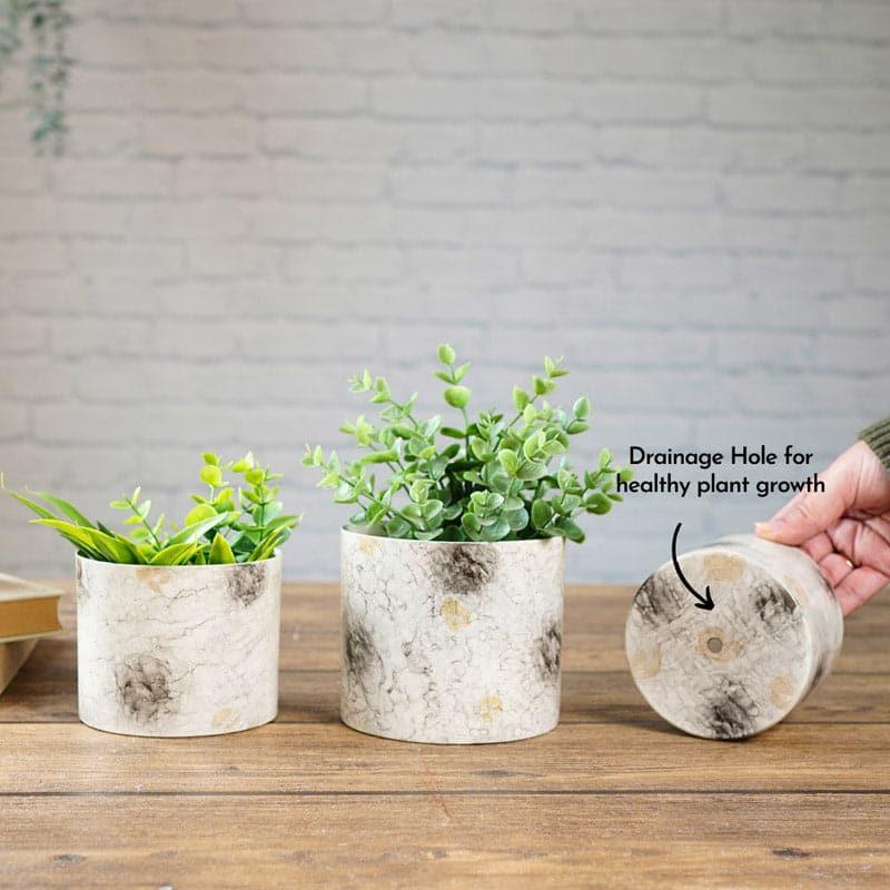 Buy Play Punch Planter - Set Of Three Pots & Planters from Vaaree