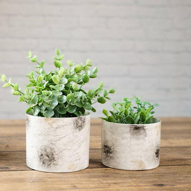 Buy Play Punch Planter - Set Of Two Pots & Planters from Vaaree