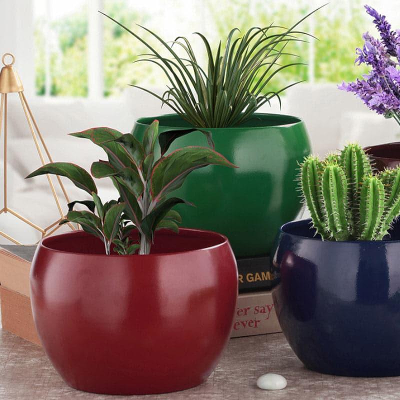 Buy Porsho Fantasy Planter - Set Of Four Pots & Planters from Vaaree