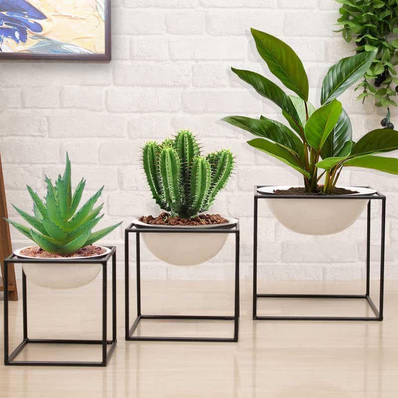 Buy Purely Posh Planter - Set Of Three Pots & Planters from Vaaree