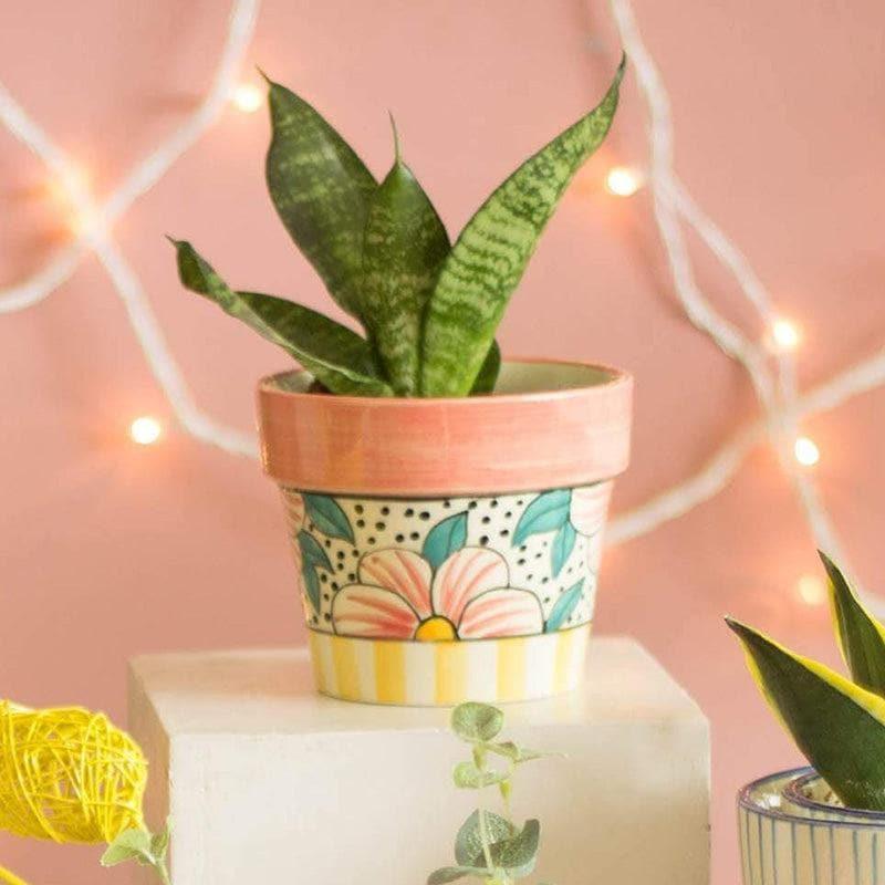 Buy Pyramid Flowers Ceramic Planter Pots & Planters from Vaaree