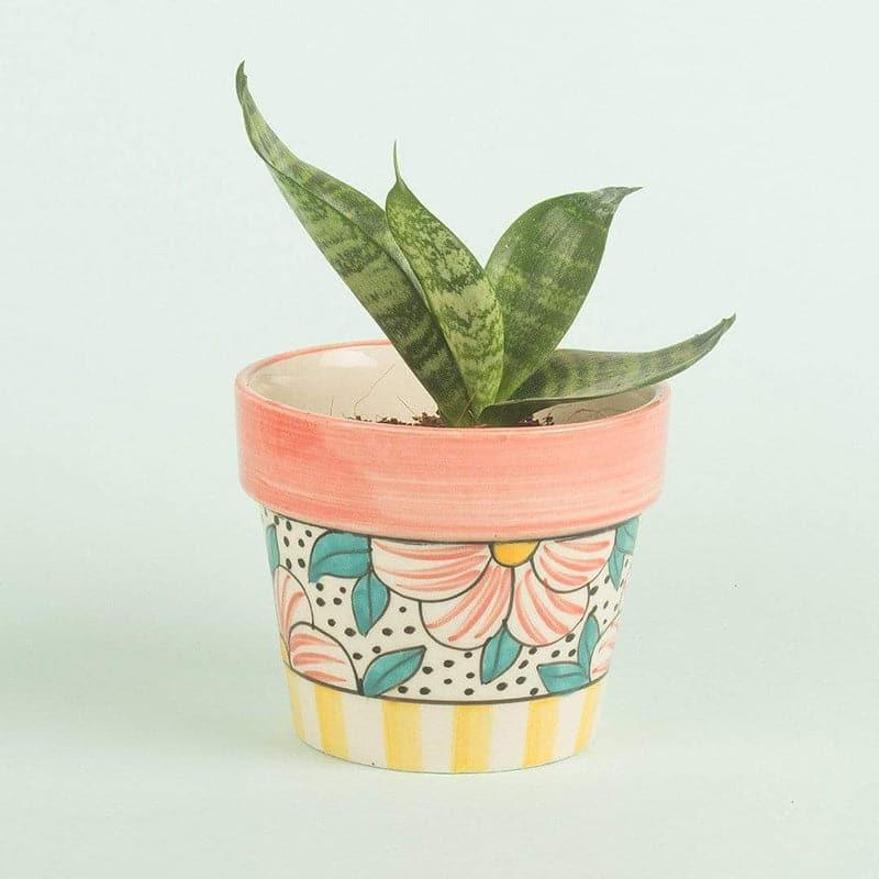 Buy Pyramid Flowers Ceramic Planter Pots & Planters from Vaaree