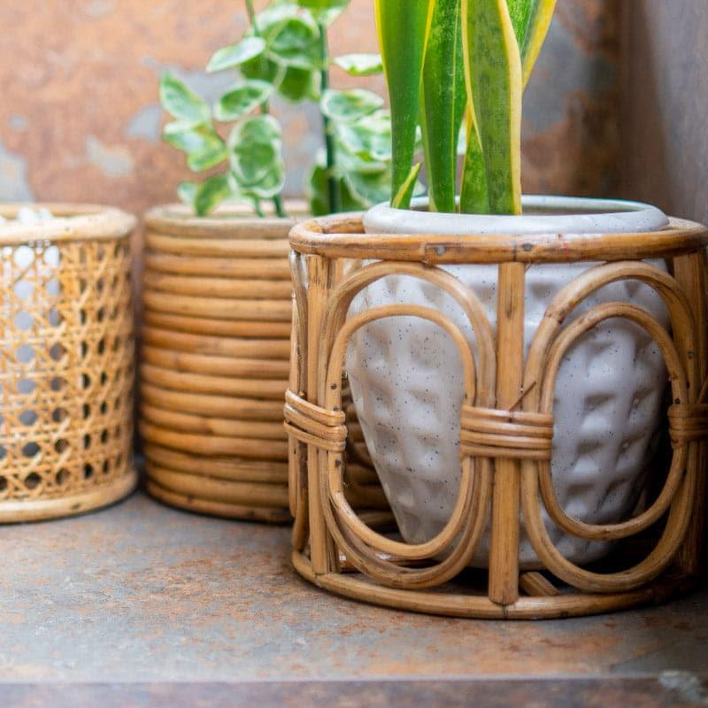 Buy Sawyer Natural Fibre Planter Pots & Planters from Vaaree