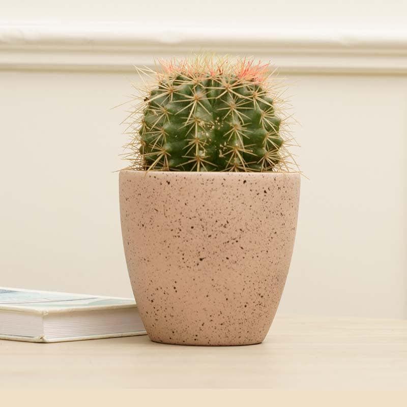 Buy Scarlett Textured Planter - Pink Pots & Planters from Vaaree