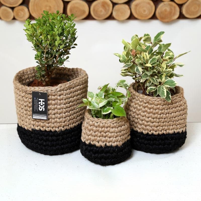 Buy Serene Sanctuaries Jute Planter Pots & Planters from Vaaree