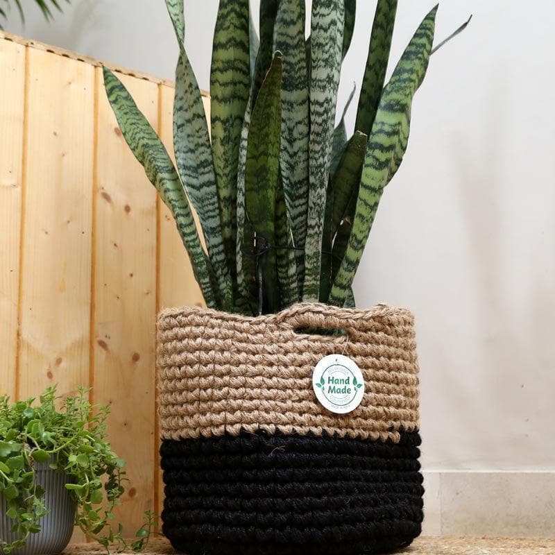 Buy Serene Sanctuaries Jute Planter Pots & Planters from Vaaree