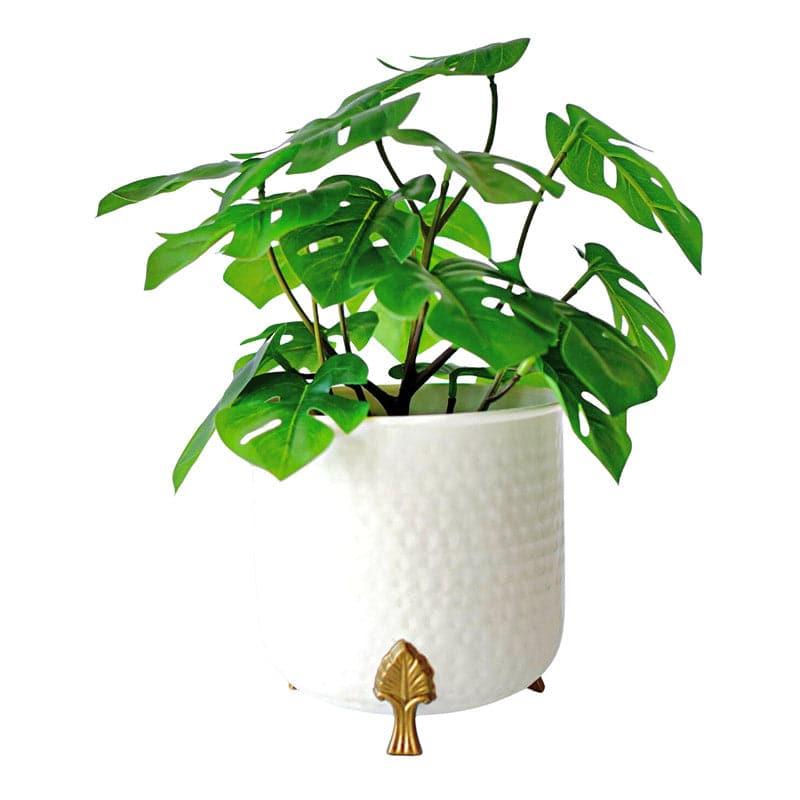 Buy Shaera Metal Planter - White Pots & Planters from Vaaree