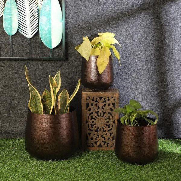 Pots & Planters - Shrina Shae Planter - Set Of Three