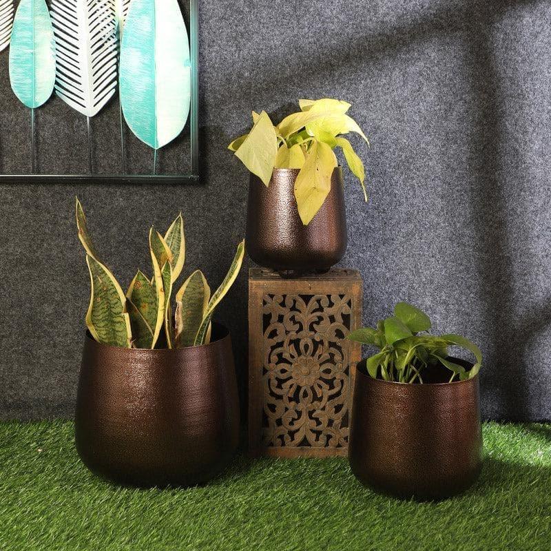 Buy Shrina Shae Planter - Set Of Three Pots & Planters from Vaaree