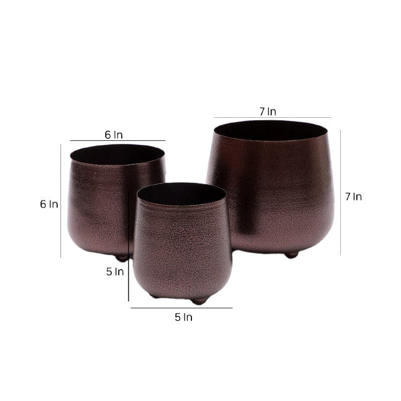 Buy Shrina Shae Planter - Set Of Three Pots & Planters from Vaaree