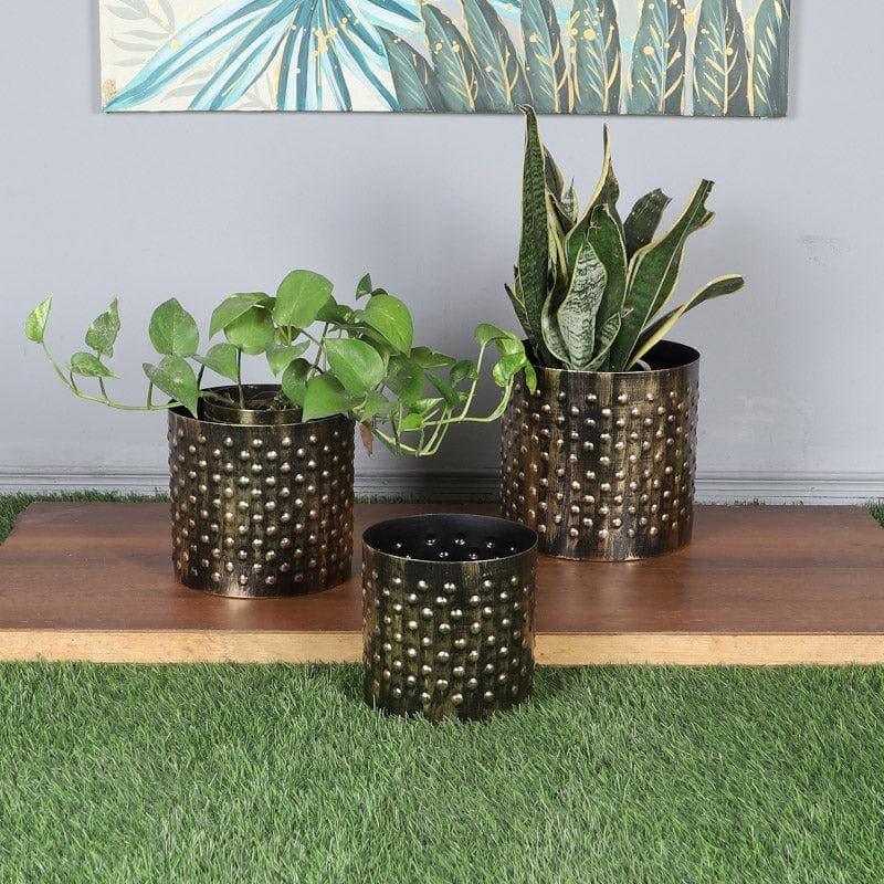 Buy Silosa Hammered Planter - Set Of Three Pots & Planters from Vaaree