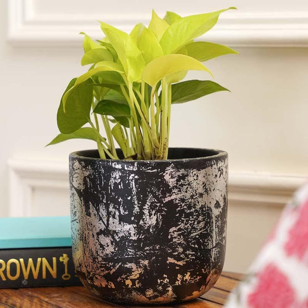 Buy Silver Embossed Planter Pots & Planters from Vaaree