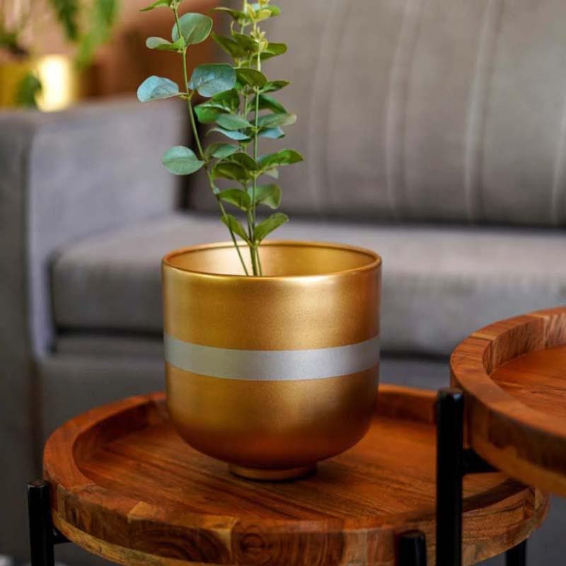 Buy Silver Lining Table Planter Pots & Planters from Vaaree