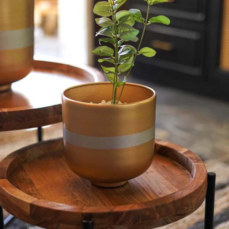 Buy Silver Lining Table Planter Pots & Planters from Vaaree