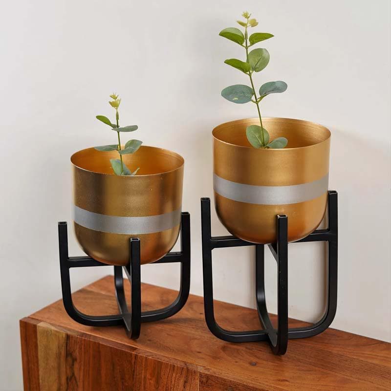 Buy Silver Lining Table Planter With Stand Pots & Planters from Vaaree