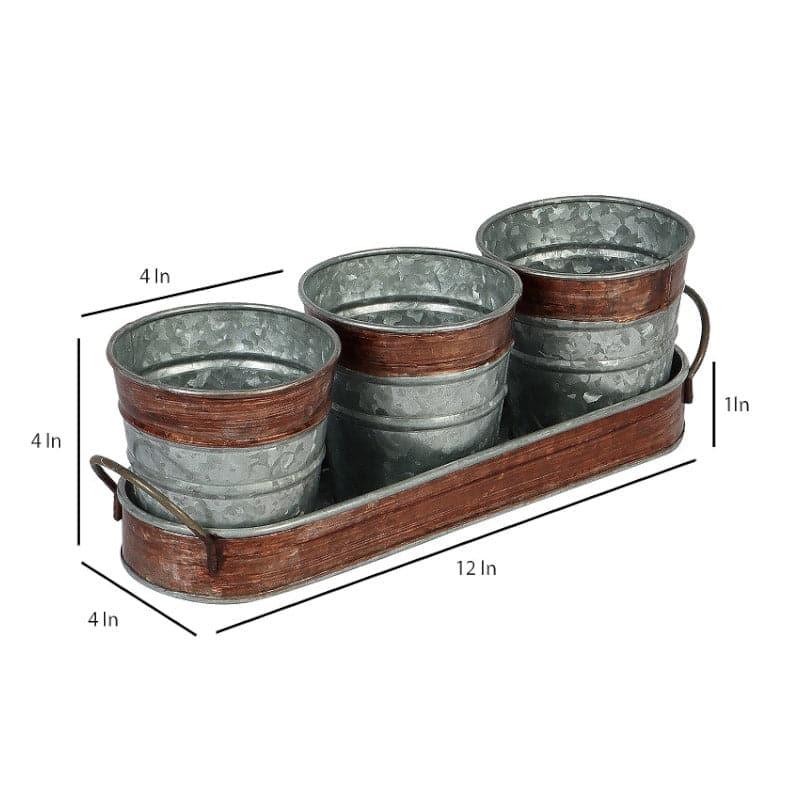 Buy Sinora Sila Planter - Set Of Four Pots & Planters from Vaaree