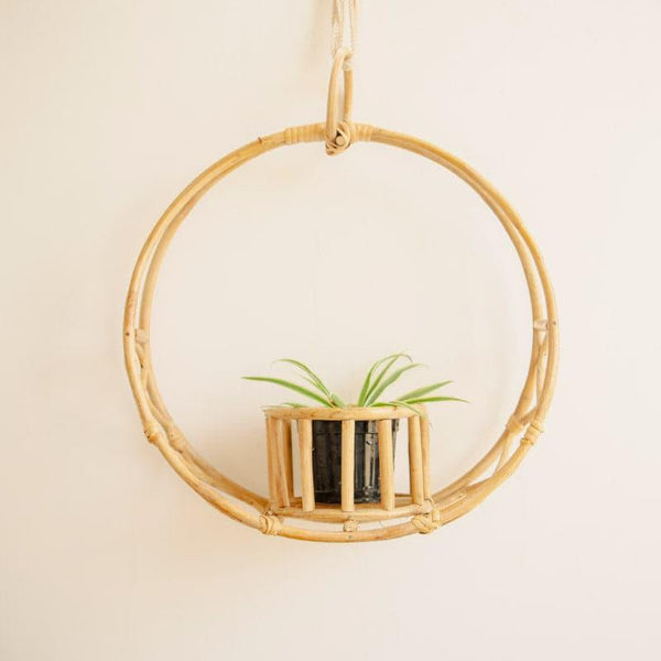 Buy Soleil Hanging Planter Pots & Planters from Vaaree