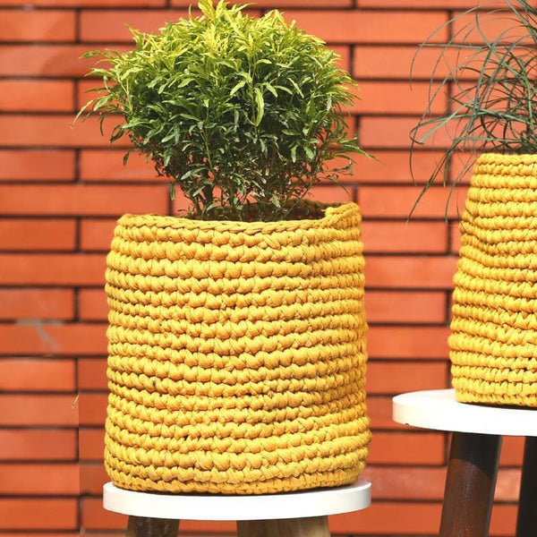 Buy Sunshine Cotton Planter Pots & Planters from Vaaree