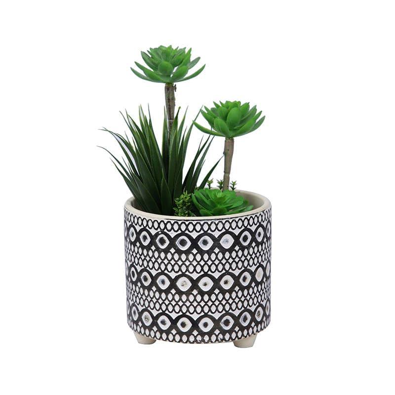 Buy Pots & Planters - Swirl & Geometric Planter at Vaaree online