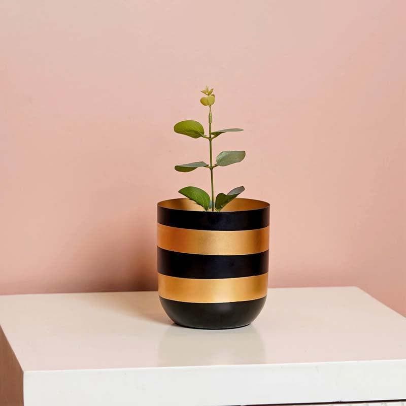 Buy Synchrona Ribbed Table Planter Pots & Planters from Vaaree