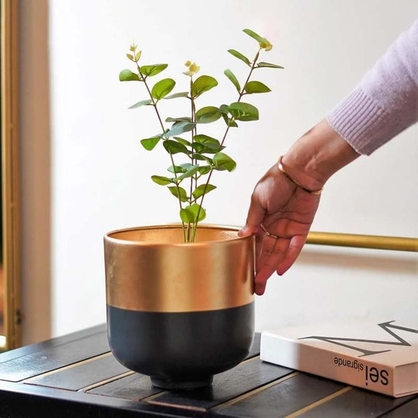 Buy Synchrona Table Planter - Black Pots & Planters from Vaaree