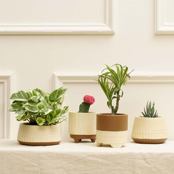 Buy Terazzo Terracotta Planters - Set Of Four Pots & Planters from Vaaree