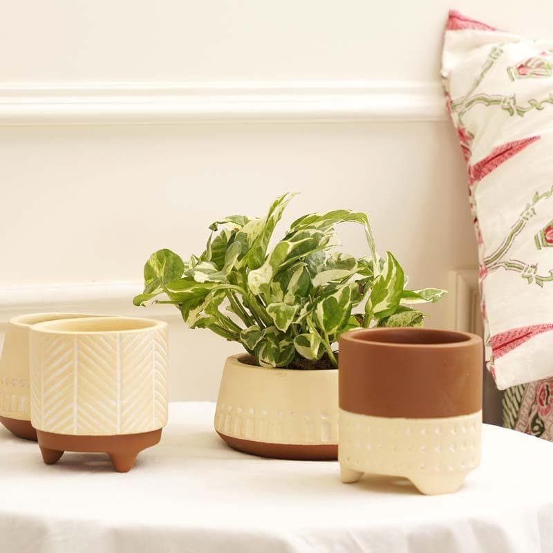 Buy Terazzo Terracotta Planters - Set Of Four Pots & Planters from Vaaree