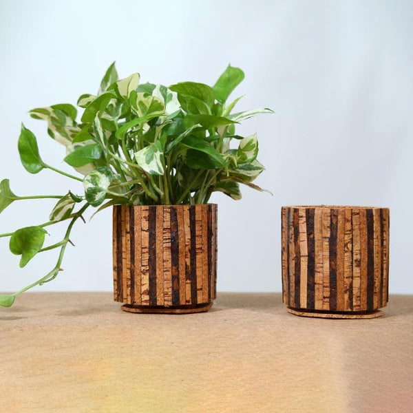 Buy Timber Roots Planter Pots & Planters from Vaaree