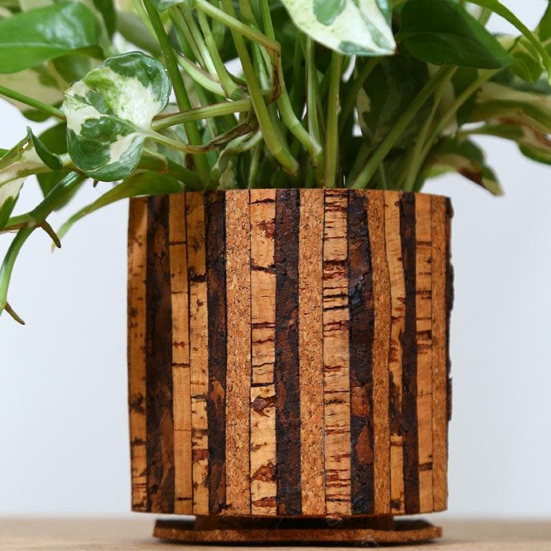 Buy Timber Roots Planter Pots & Planters from Vaaree