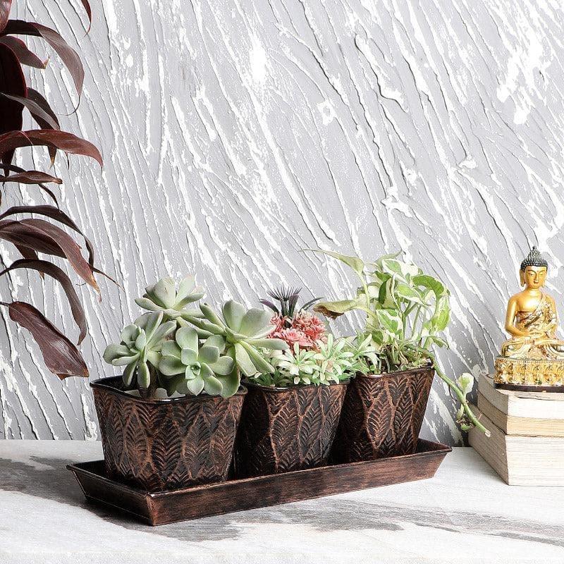 Buy Truka Tia Planter - Set Of Four Pots & Planters from Vaaree