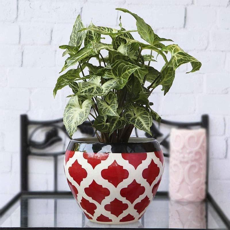 Buy Ugaoo Apple Rose Ceramic Pot (15 CM) - Red Pots & Planters from Vaaree