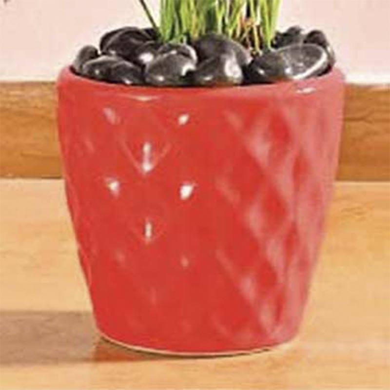 Buy Ugaoo Argyle Planter (16 CM) - Red Pots & Planters from Vaaree