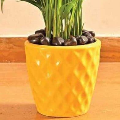 Buy Ugaoo Argyle Planter (16 CM) - White Pots & Planters from Vaaree