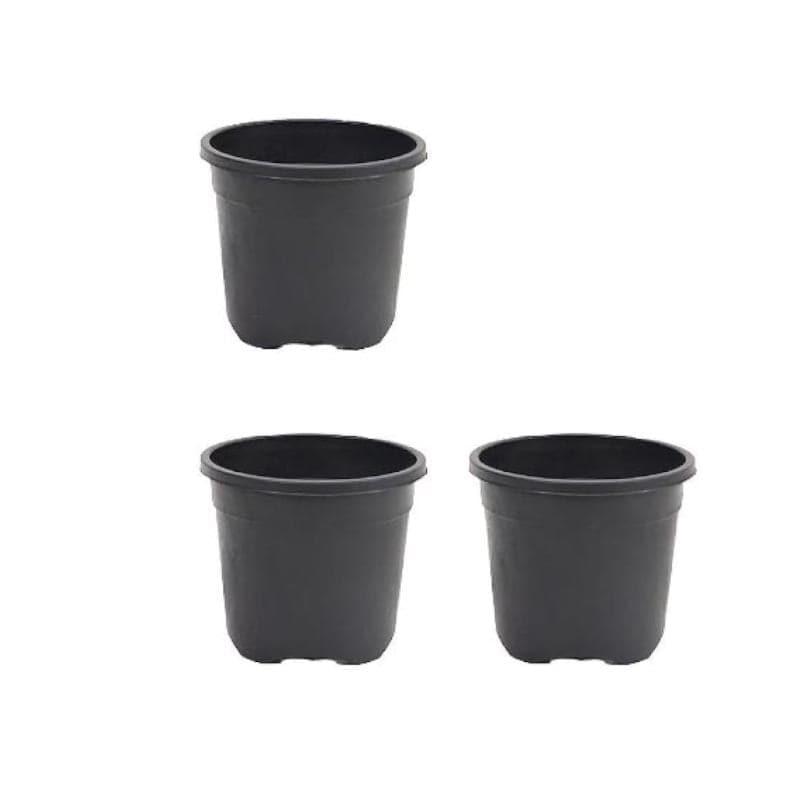 Buy Ugaoo Garden Black Plastic Pot (15.4 CM) - Set Of Three Pots & Planters from Vaaree