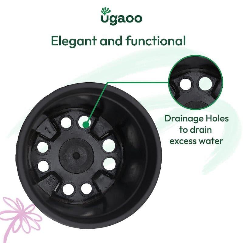 Buy Ugaoo Garden Black Plastic Pot (15.4 CM) - Set Of Three Pots & Planters from Vaaree