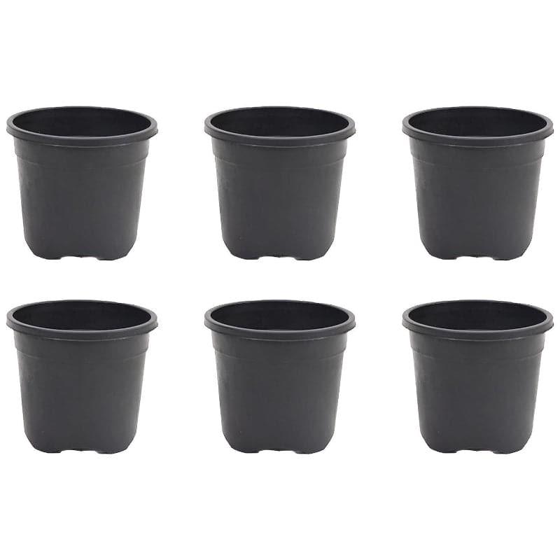 Buy Ugaoo Garden Black Plastic Pot (9.9 CM) - Set Of Six Pots & Planters from Vaaree