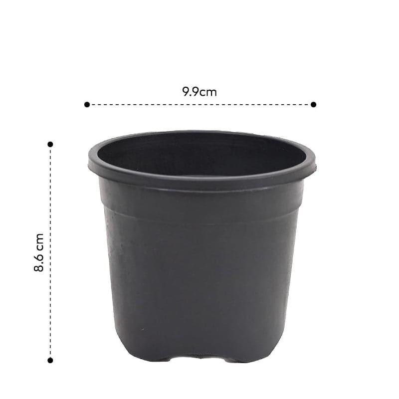 Buy Ugaoo Garden Black Plastic Pot (9.9 CM) - Set Of Six Pots & Planters from Vaaree