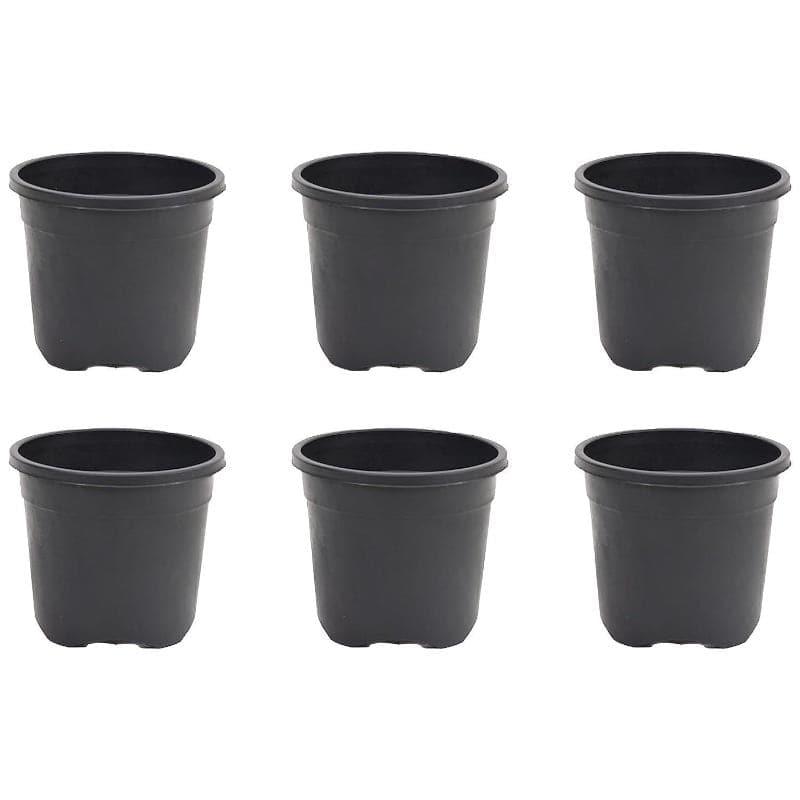 Buy Ugaoo Garden Black Plastic Pot (9.9 CM) - Set Of Twelve Pots & Planters from Vaaree