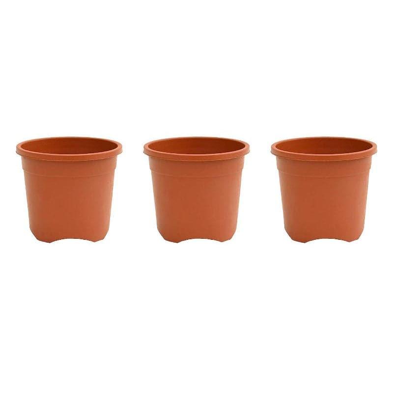 Buy Ugaoo Garden Brown Plastic Pot (15.4 CM) - Set Of Three Pots & Planters from Vaaree