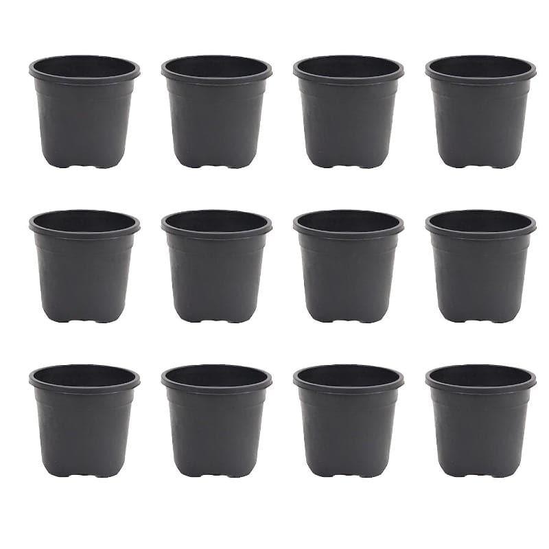 Buy Ugaoo Garden Brown Plastic Pot (9.9 CM) - Set Of Twelve Pots & Planters from Vaaree