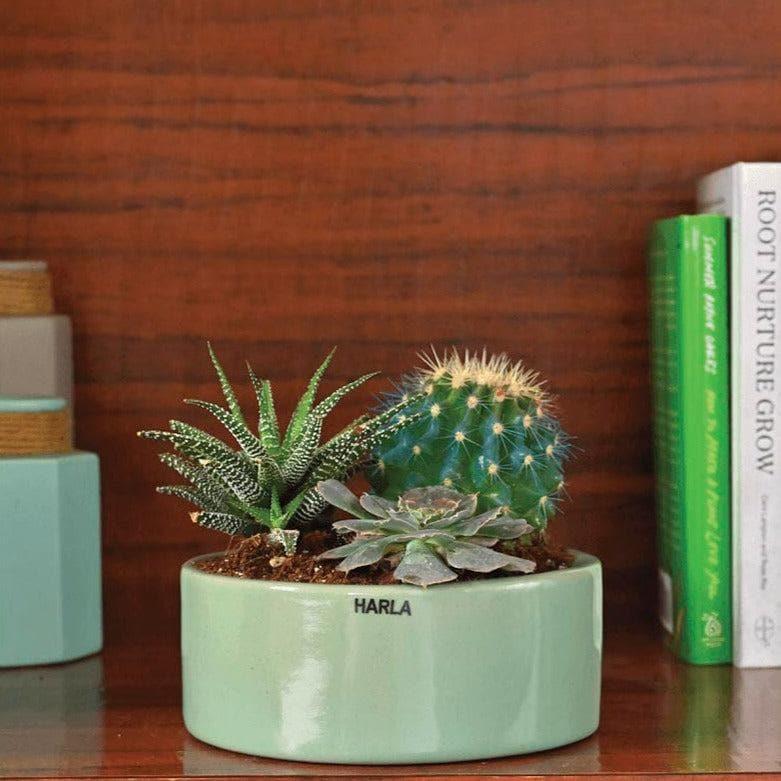 Buy Ugaoo Lilac Stories Ceramic Pot (17.5 CM) - Aqua Green Pots & Planters from Vaaree