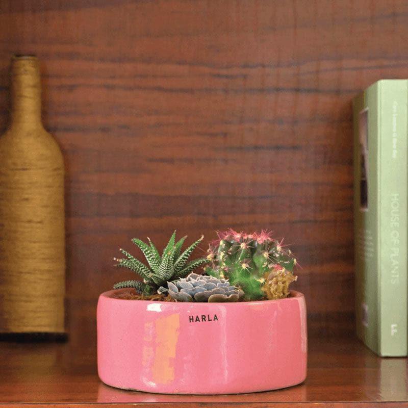 Buy Ugaoo Lilac Stories Ceramic Pot (Magenta) - Set Of Three Pots & Planters from Vaaree