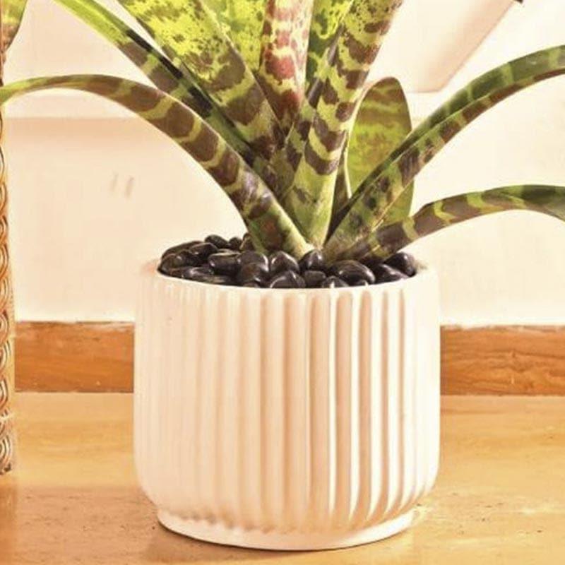 Buy Ugaoo Phoenix Ceramic Pot (25 CM) - White Pots & Planters from Vaaree