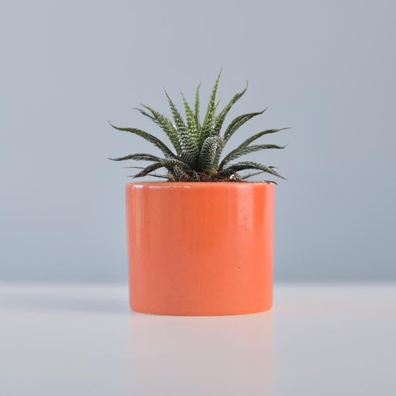 Buy Ugaoo Pipe Orange Ceramic Pot Pots & Planters from Vaaree