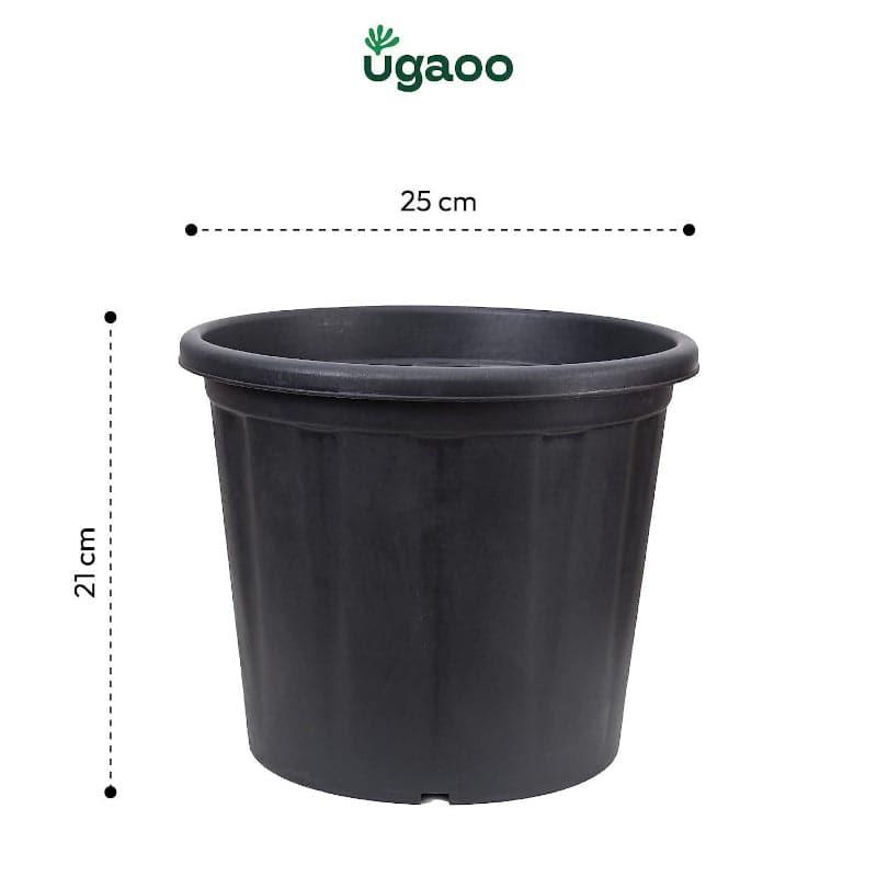 Buy Ugaoo UV Treated Black Plastic Pot (25 CM) - Set Of Six Pots & Planters from Vaaree