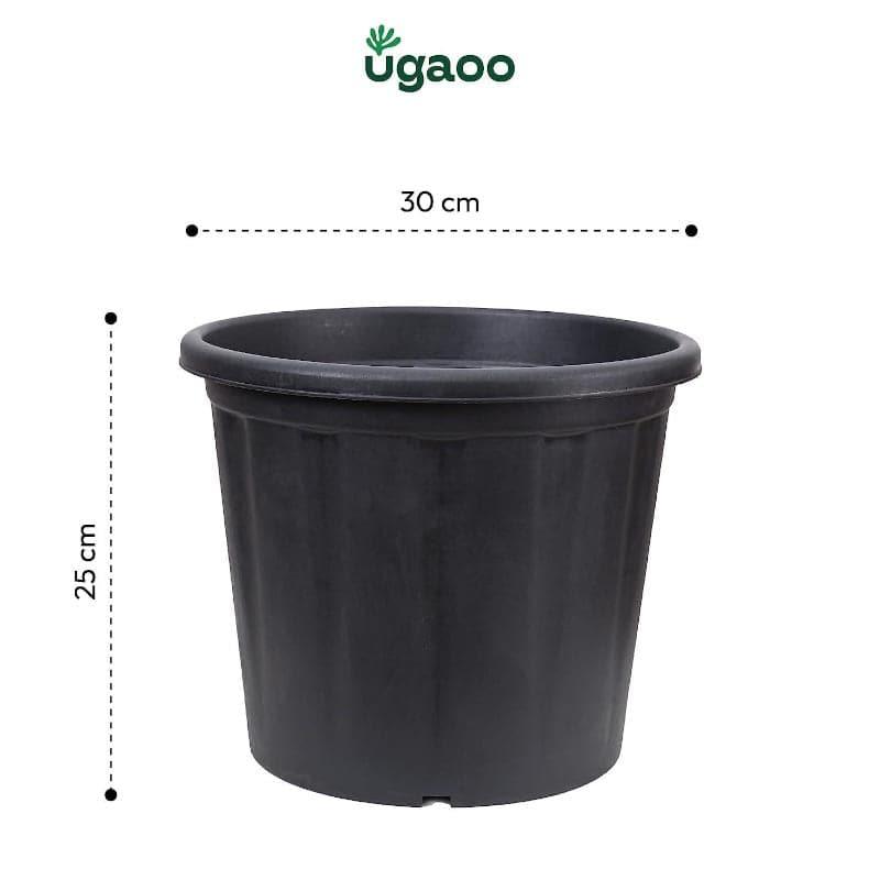 Buy Ugaoo UV Treated Black Plastic Pot (30 CM) - Set Of Three Pots & Planters from Vaaree