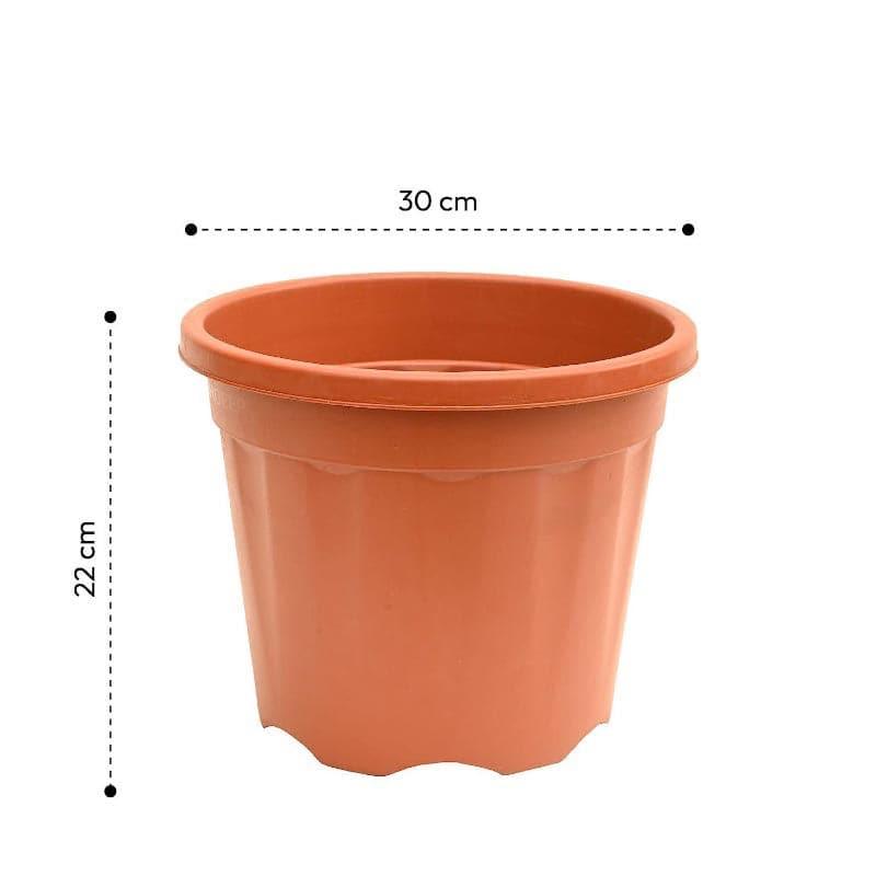 Buy Ugaoo UV Treated Brown Plastic Pot (30 CM) - Set Of Twelve Pots & Planters from Vaaree