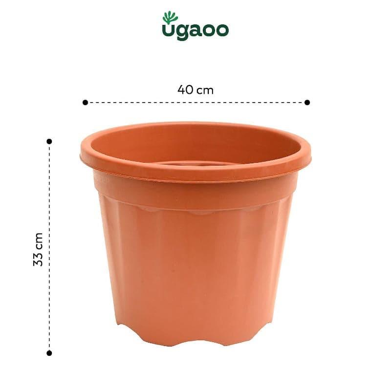 Buy Ugaoo UV Treated Brown Plastic Pot (40 CM) - Set Of Three Pots & Planters from Vaaree